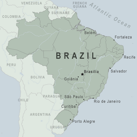 Brazil ~ Joaquim Ribeiro ~ Natural ~ 14 oz