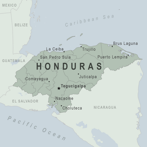 Honduras ~ Organic Copan ~ Washed ~ 14 oz